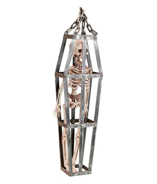 Skelet i bur, 50 cm