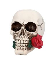 Casanova kranie med rose