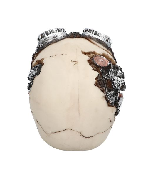 Steampunk kranie