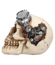 Steampunk kranie