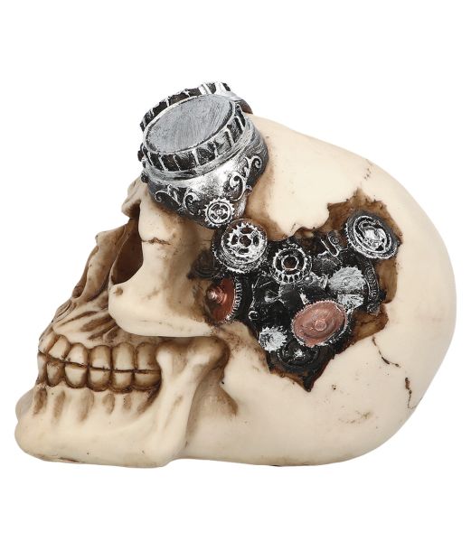 Steampunk kranie