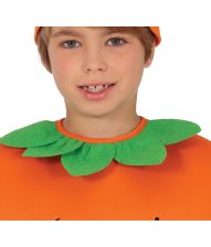 Græskar poncho med hat