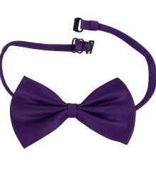 Lilla butterfly