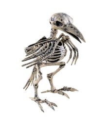 Fugleskelet