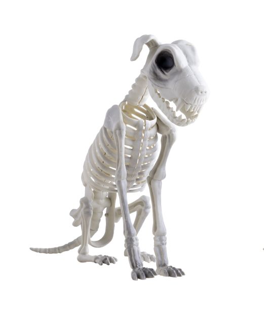 Hundeskelet i plastik