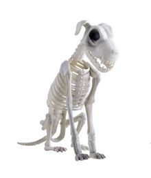 Hundeskelet i plastik