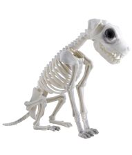 Hundeskelet i plastik