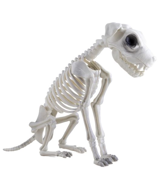 Hundeskelet i plastik