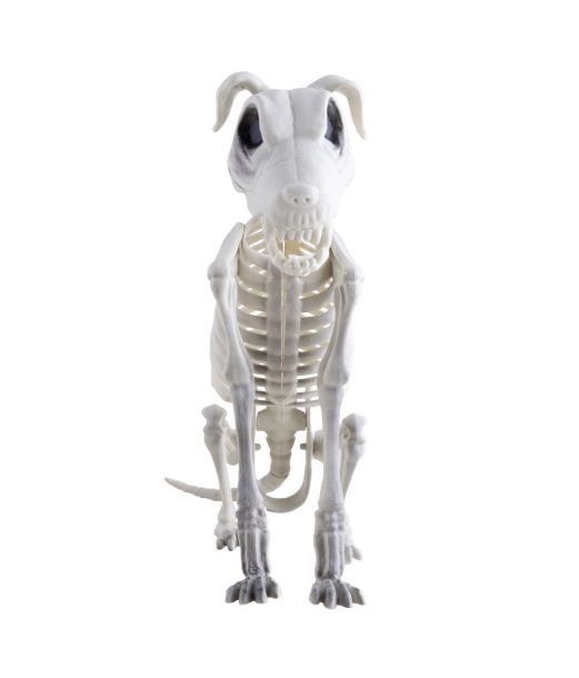 Hundeskelet i plastik