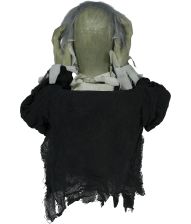 Zombie buste 55 cm