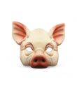 Grise maske til store børn og voksne