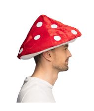 Fluesvamp hat