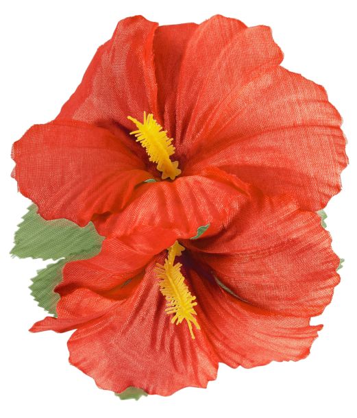 Rød hawaiiblomst med hårklips