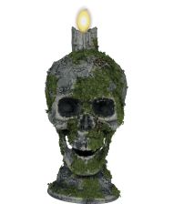 Kranie med lys og mos