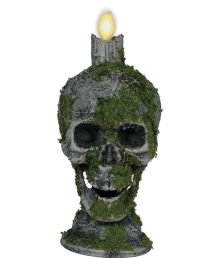 Kranie med lys og mos Kranie med lys og mos