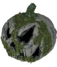 Græskar med mos 20 cm