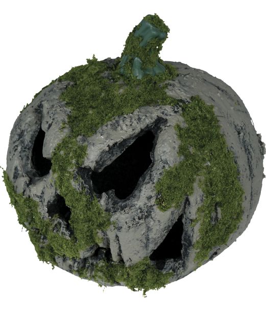 Græskar med mos 20 cm