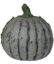 Græskar med mos 20 cm