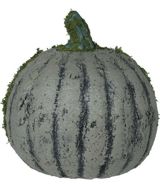 Græskar med mos 20 cm