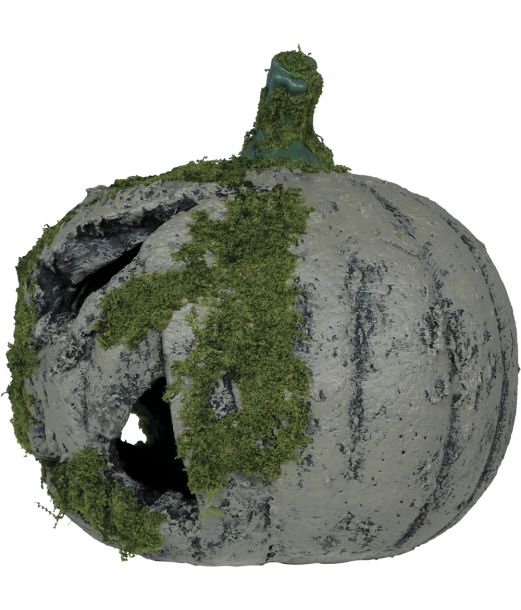 Græskar med mos 20 cm