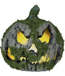 Græskar med mos 20 cm Græskar med mos 20 cm