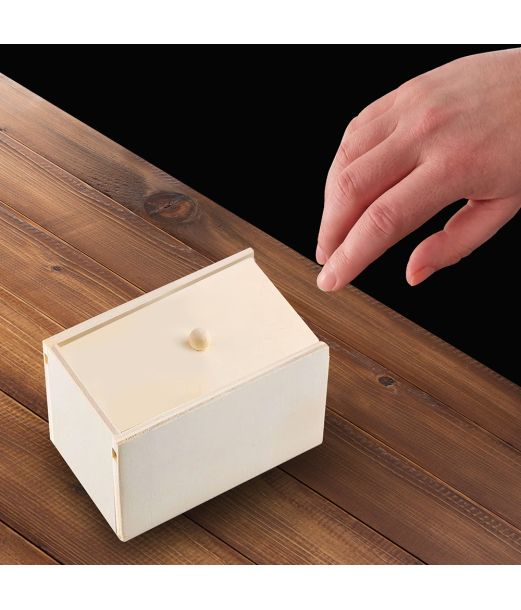 Træboks med edderkop