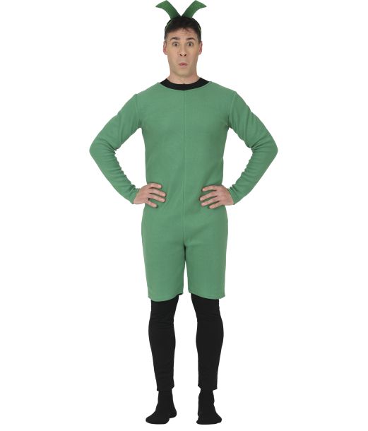 Vindrueklase kostume