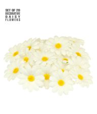 Margueritter, 20 stk til udklædning og dekoration