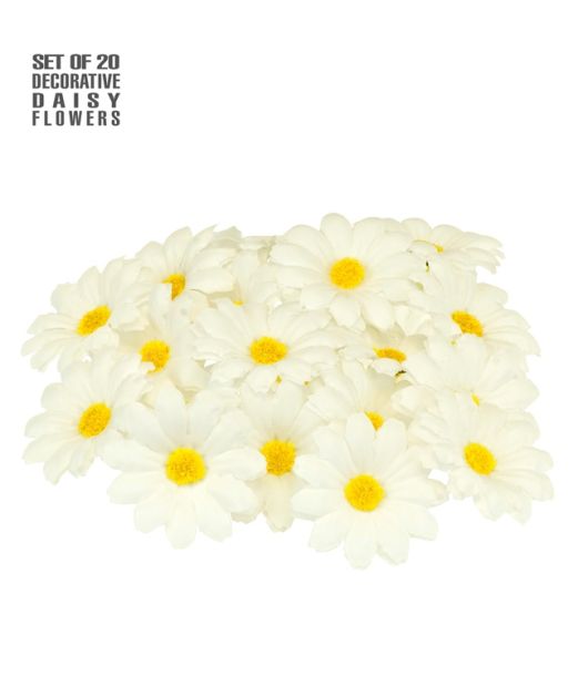 Margueritter, 20 stk til udklædning og dekoration