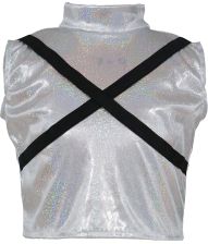 K-Pop star Silver leader kostume