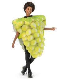 Vindrueklase kostume