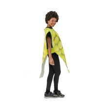 Vindrueklase kostume