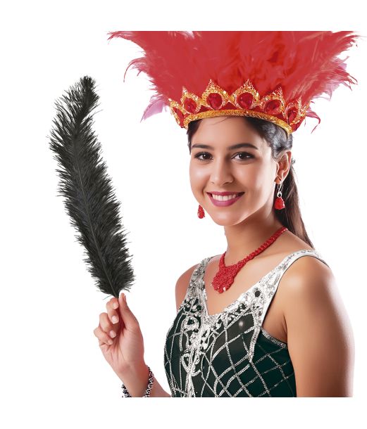 Sorte strudsefjer 45-65 cm, 12 stk