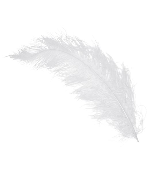 Hvide strudsefjer 45-65 cm, 12 stk