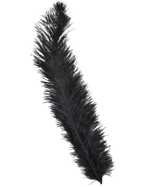 Sorte strudsefjer 45-65 cm, 12 stk