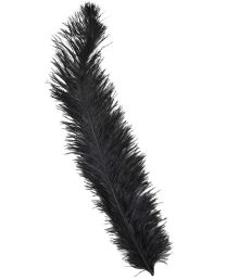 Sorte strudsefjer 45-65 cm, 12 stk