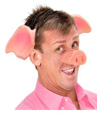 Griseører hårbøjle