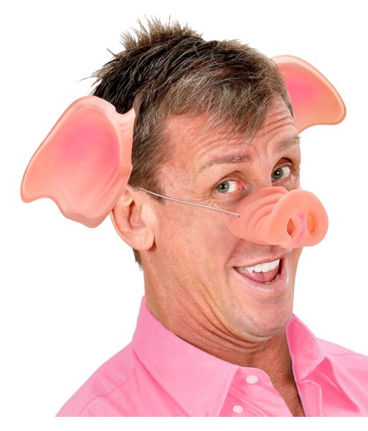 Griseører hårbøjle