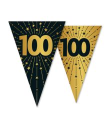 Vimpelguirlande 100 år, 10 m