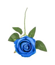 Blå rose, 50 cm