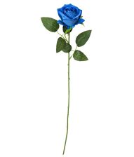 Blå rose, 50 cm