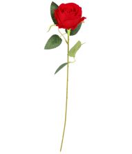 Rød rose, 50 cm