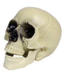 Kranie til halloween, 16 cm