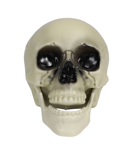 Kranie til halloween, 16 cm