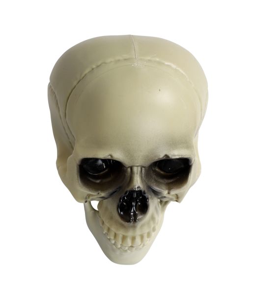 Kranie til halloween, 16 cm