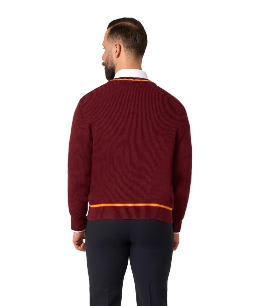 Gryffindor Sweater fra OppoSuits