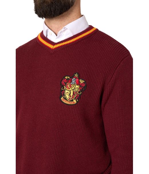 Gryffindor Sweater fra OppoSuits