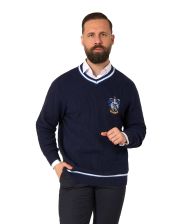 Rawenclaw sweater