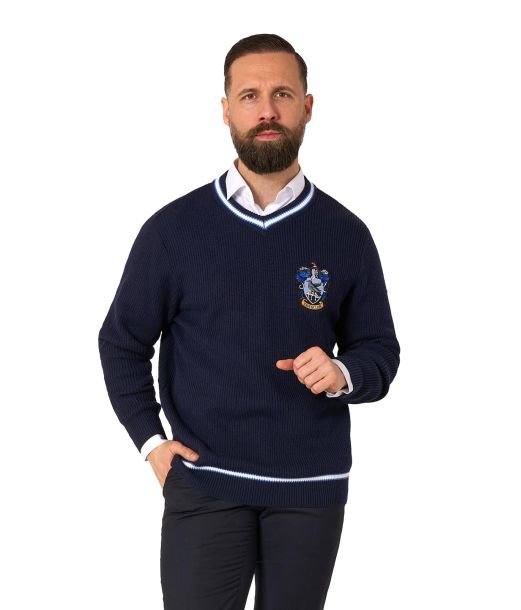 Rawenclaw sweater
