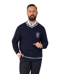 Rawenclaw sweater